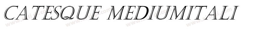 Catesque MediumItali字体转换 Catesque MediumItali字体转换